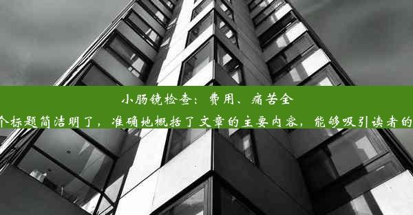 小肠镜检查：费用、痛苦全解析！这个标题简洁明了，准确地概括了文章的主要内容，能够吸引读者的点击阅读。