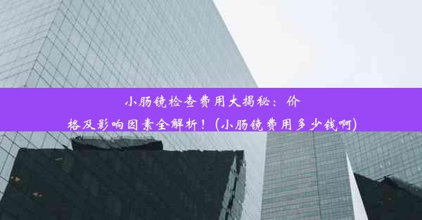 <b>小肠镜检查费用大揭秘：价格及影响因素全解析！(小肠镜费用多少钱啊)</b>