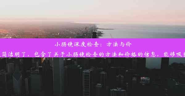 小肠镜深度检查：方法与价格详解这个标题简洁明了，包含了关于小肠镜检查的方法和价格的信息，能够吸引读者的注意力。