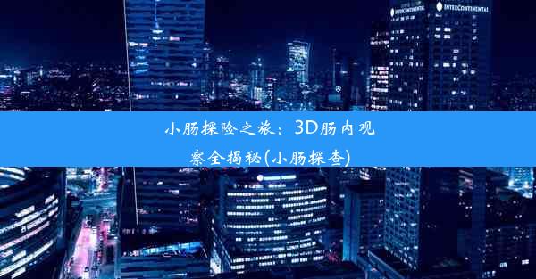 小肠探险之旅：3D肠内观察全揭秘(小肠探查)