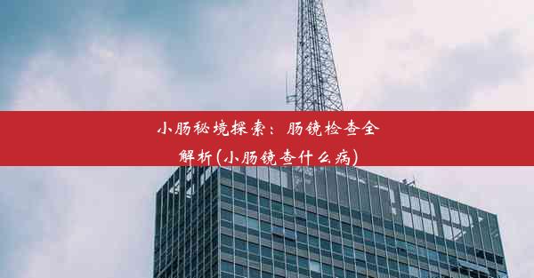 小肠秘境探索：肠镜检查全解析(小肠镜查什么病)